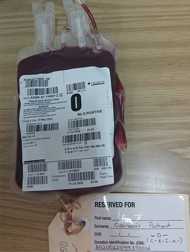 A Rare Request Beyond Borders Lifeblood a-rare-request-beyond-borders-lifeblood